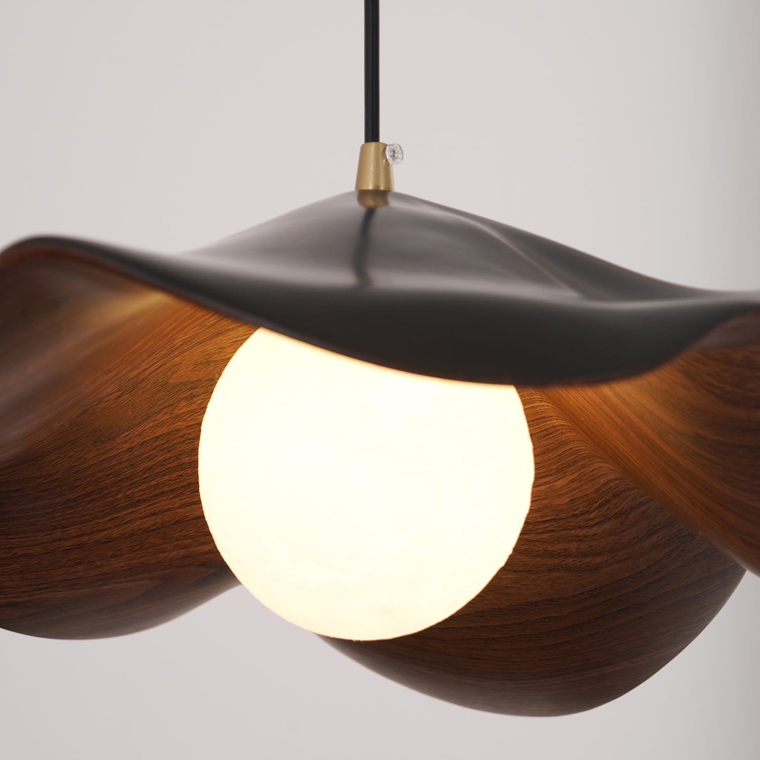 Leaf Vein Glass Plug-In Pendant Lamp