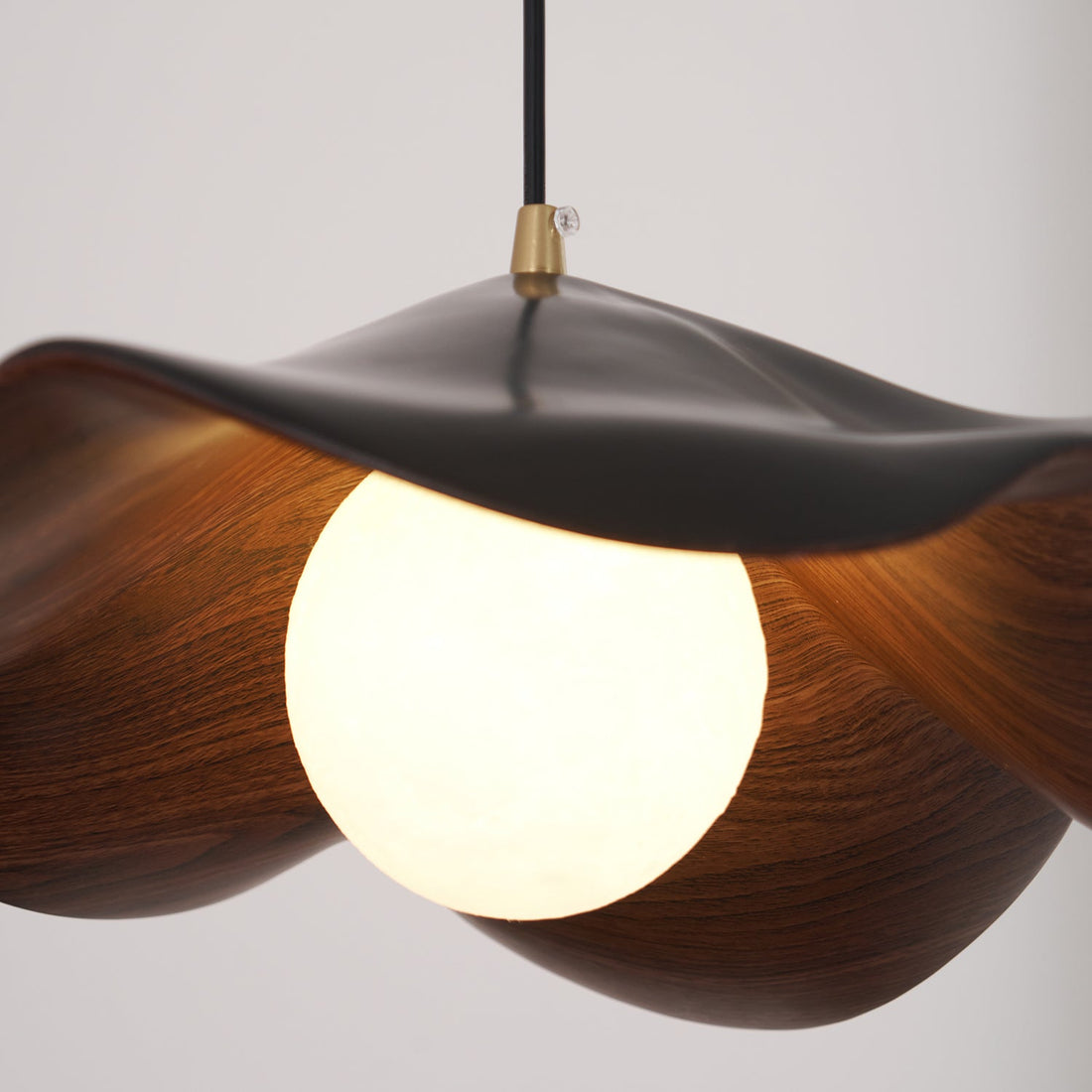 Leaf Vein Glass Plug-In Pendant Lamp