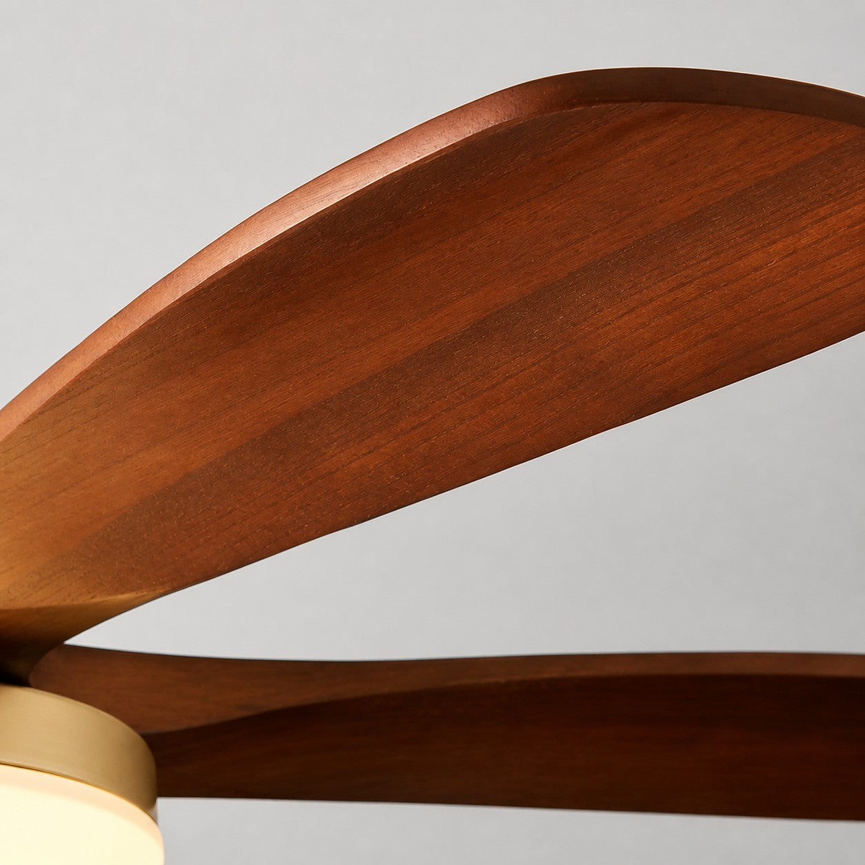 Ceiling fan light product image