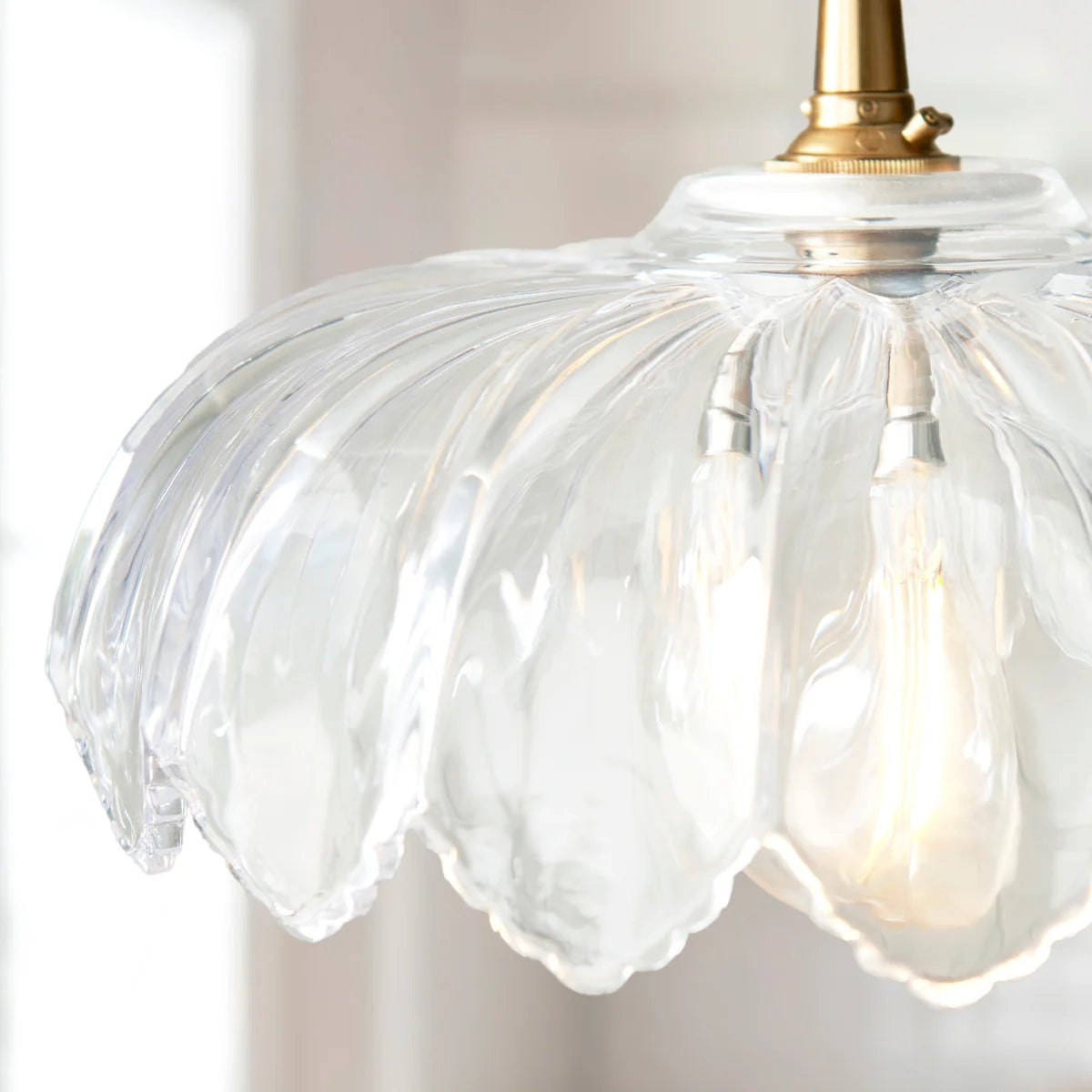Floriaxis Floral Glass Pendant Light — Floral Glass Shade with Braided Cable for Kitchen or Dining