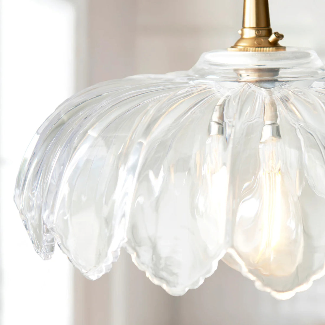Floriaxis Floral Glass Pendant Light — Floral Glass Shade with Braided Cable for Kitchen or Dining