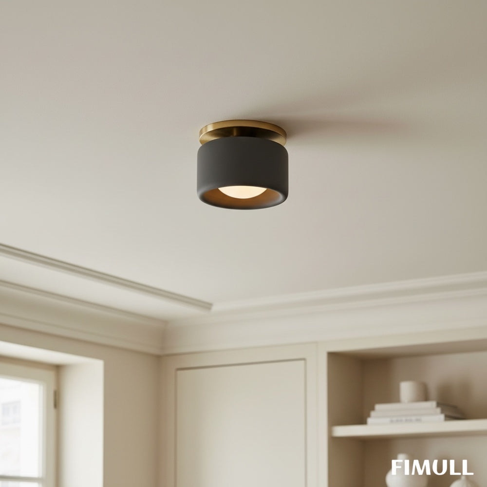 Elegant Porcelain Metal Ceiling Light with Modern Design for Living Room and Bedroom