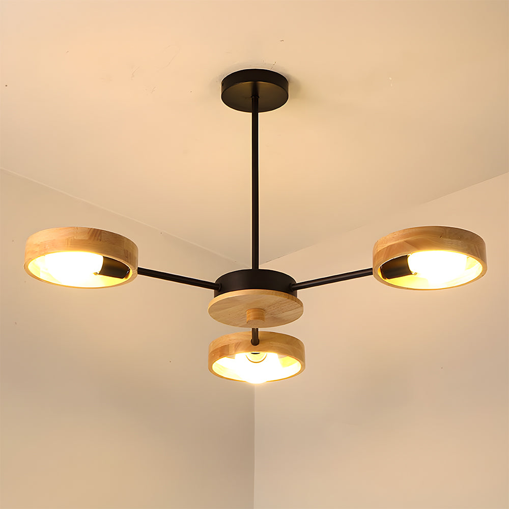 Eco-Friendly Ceiling Light - Modern Living Room Lamp Adjustable