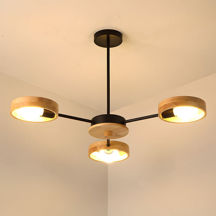 Eco-Friendly Ceiling Light - Modern Living Room Lamp Adjustable