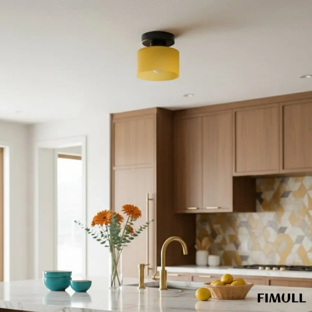 Moriglaze Sleek Cylinder Ceiling Lamp - Colourful Flush Mount Ceiling Light for Hallway