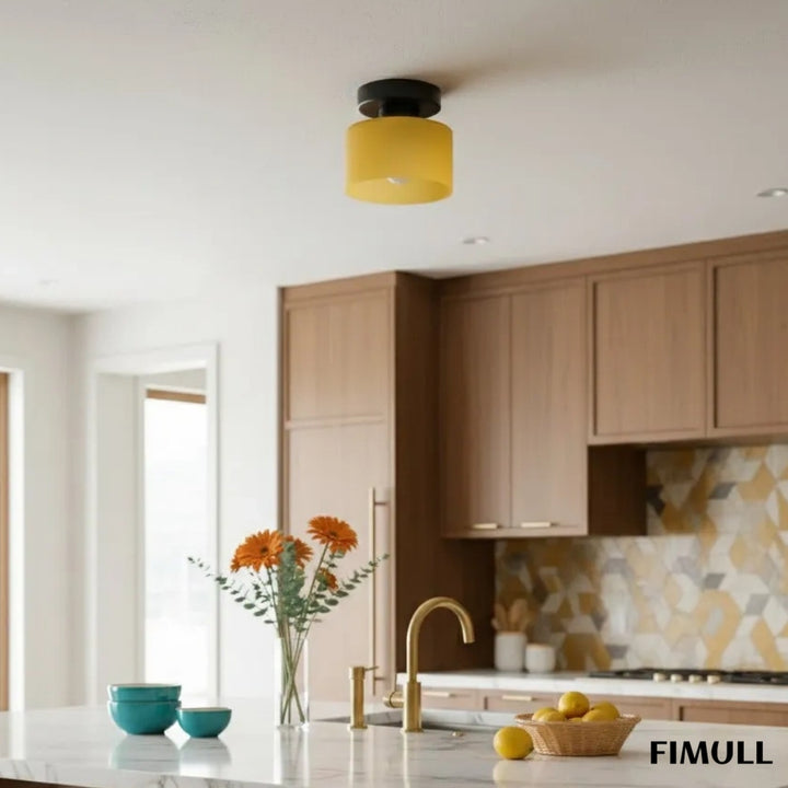 Moriglaze Sleek Cylinder Ceiling Lamp - Colourful Flush Mount Ceiling Light for Hallway