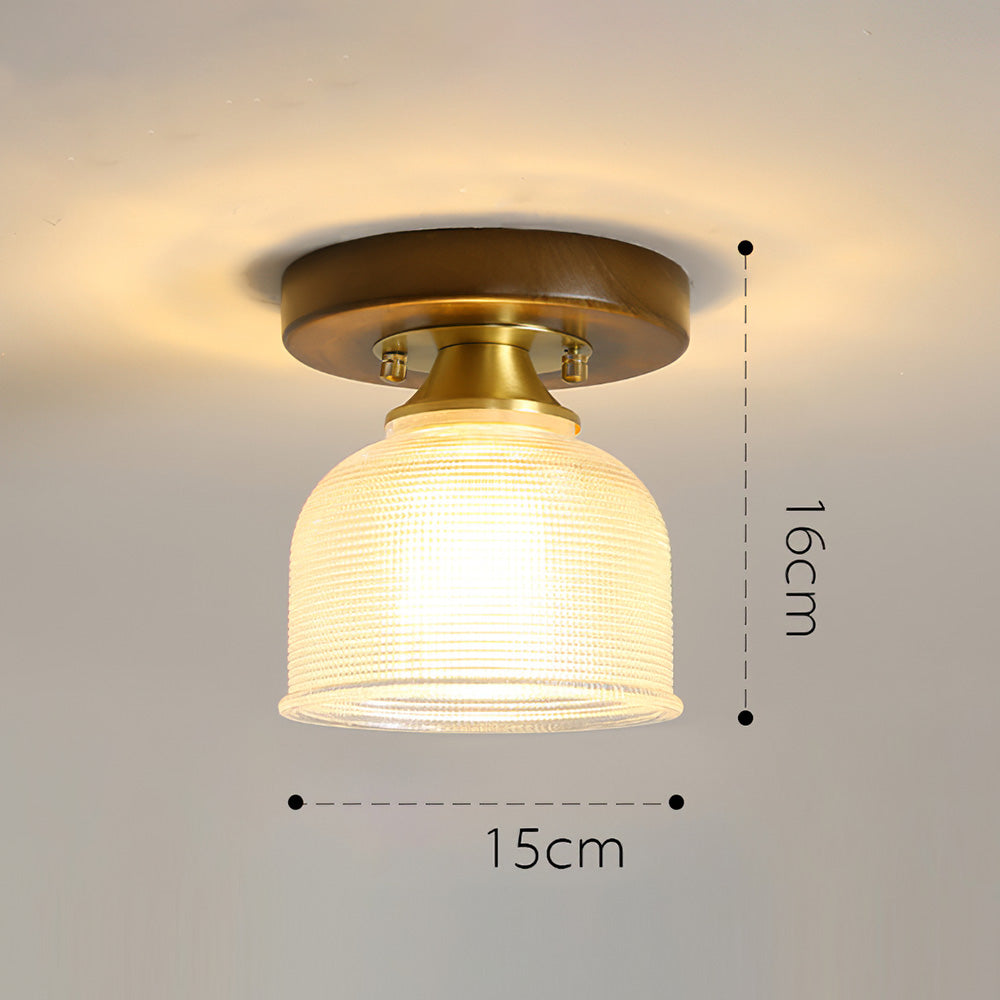 Contemporary Glass Ceiling Light - Modern Living Room Fixture