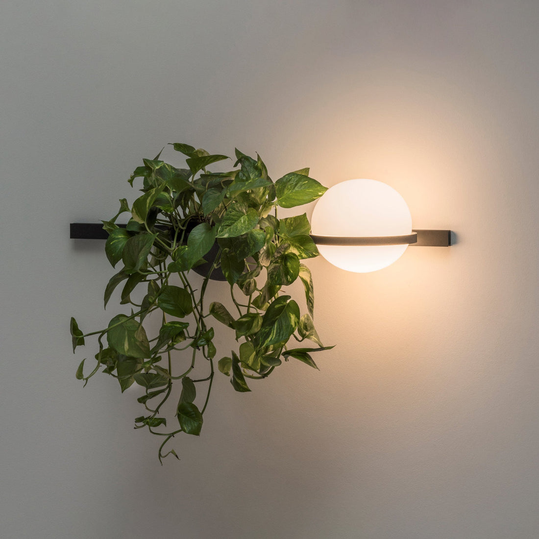 Modern Metal Wall Light - Black Frame Glowing Sphere Lamp for Garden