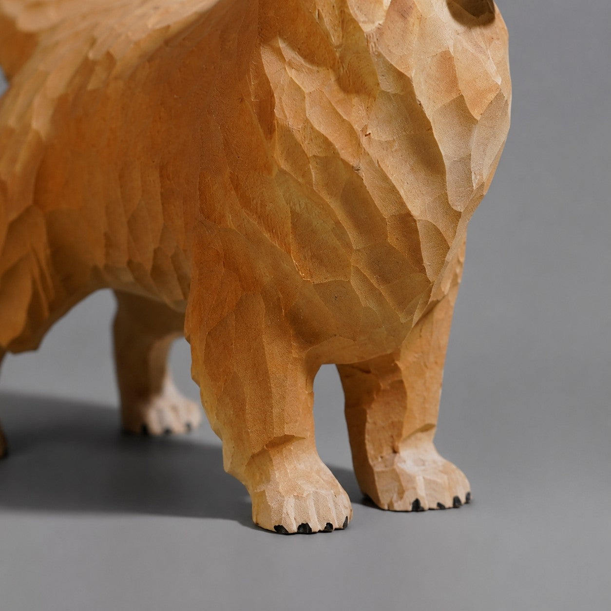 Paw and standing pose detail