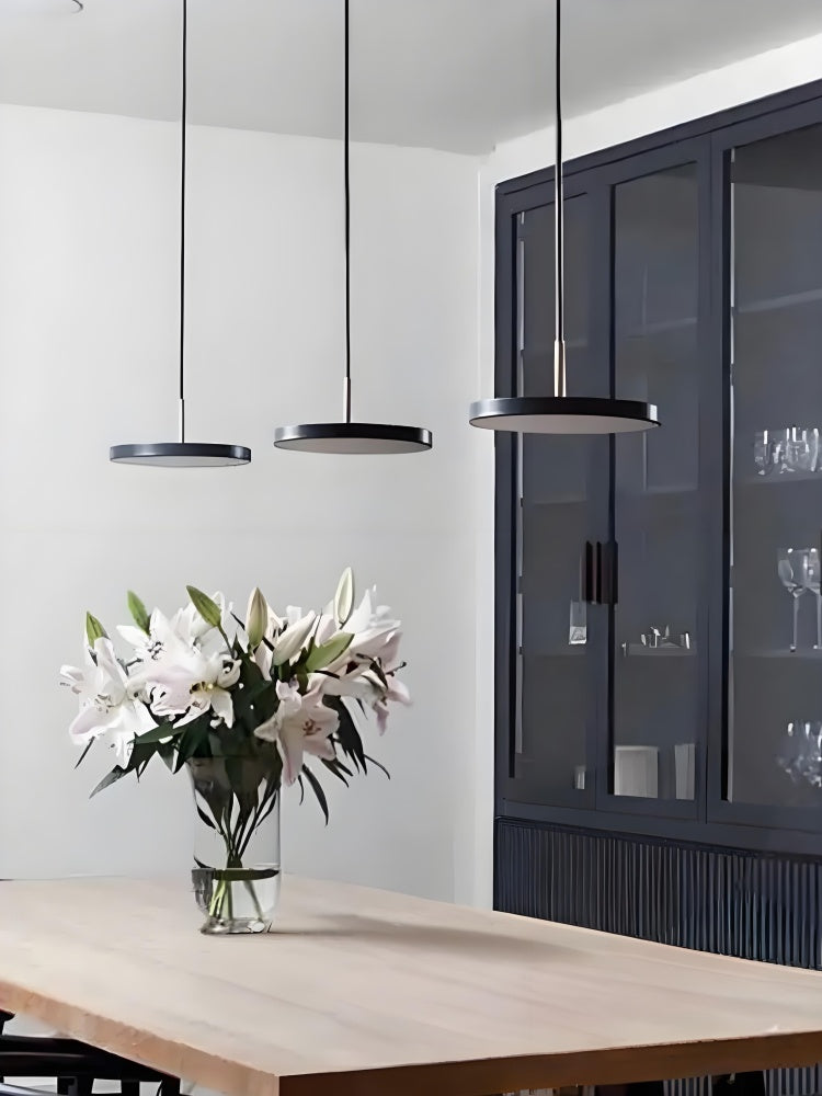 Asteria Minimalist Metal and Acrylic LED Pendant Light