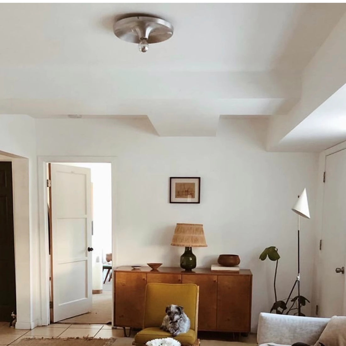 Space Age Disc Ceiling and Wall Lamp