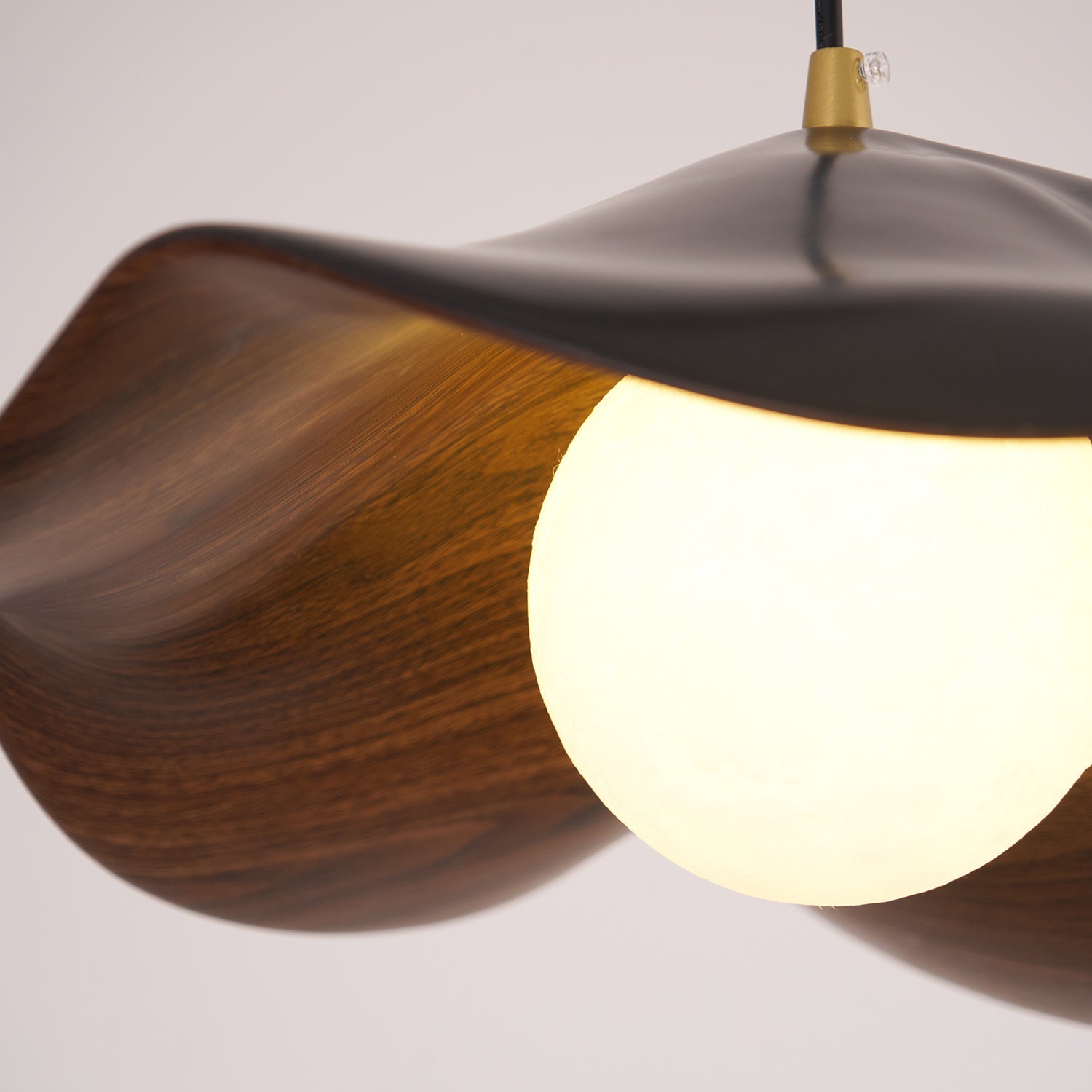 Leaf Vein Glass Plug-In Pendant Lamp