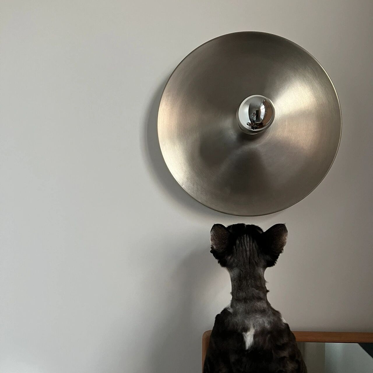 Space Age Disc Ceiling and Wall Lamp