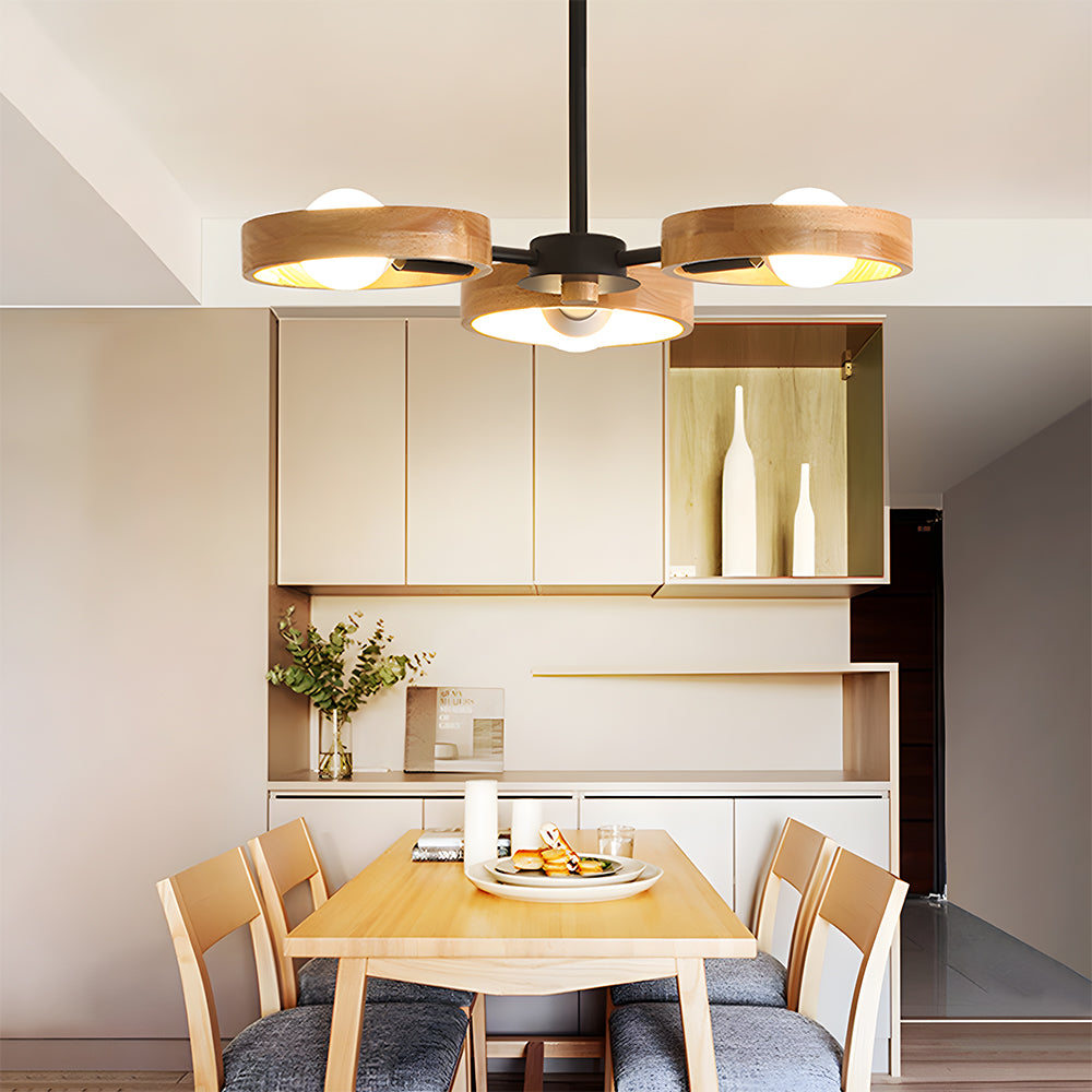 Eco-Friendly Ceiling Light - Modern Living Room Lamp Adjustable