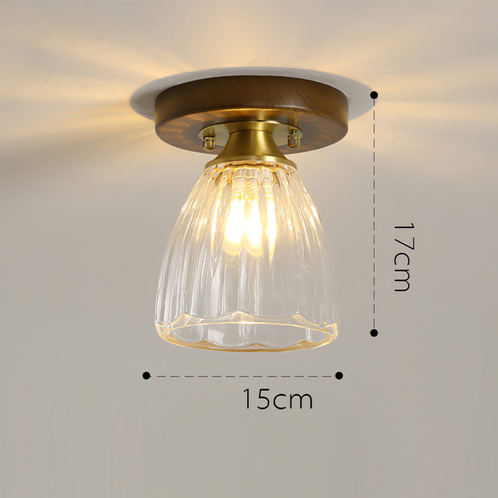 Contemporary Glass Ceiling Light - Modern Living Room Fixture