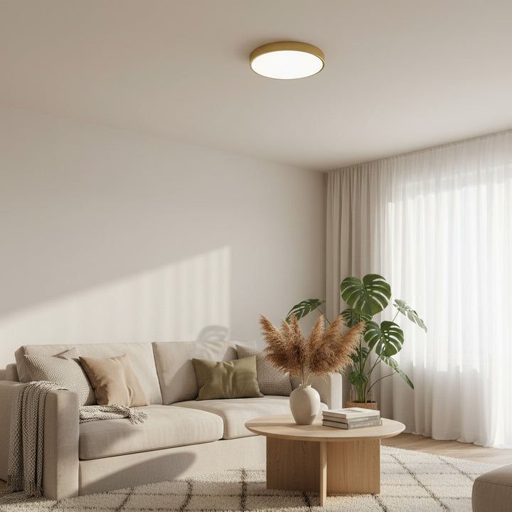 Rondi Minimalist Round LED Ceiling Light - Circular Iron Design for Living Room and Bedroom