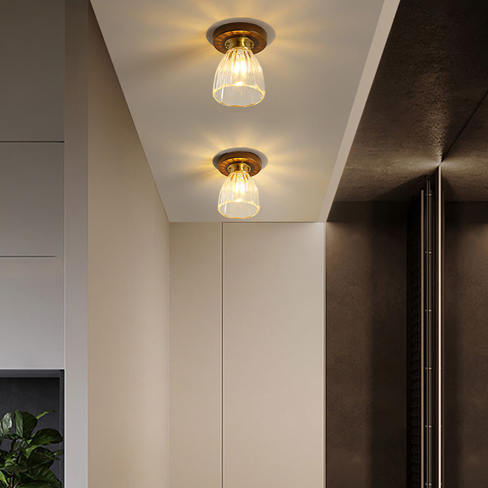 Contemporary Glass Ceiling Light - Modern Living Room Fixture