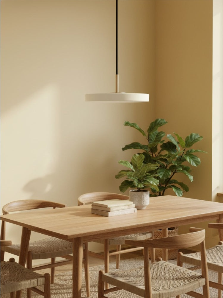 Asteria Minimalist Metal and Acrylic LED Pendant Light