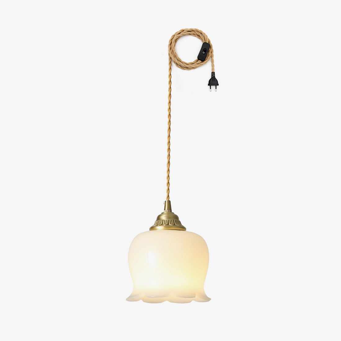 Brass Resin Petal Plug-In Pendant