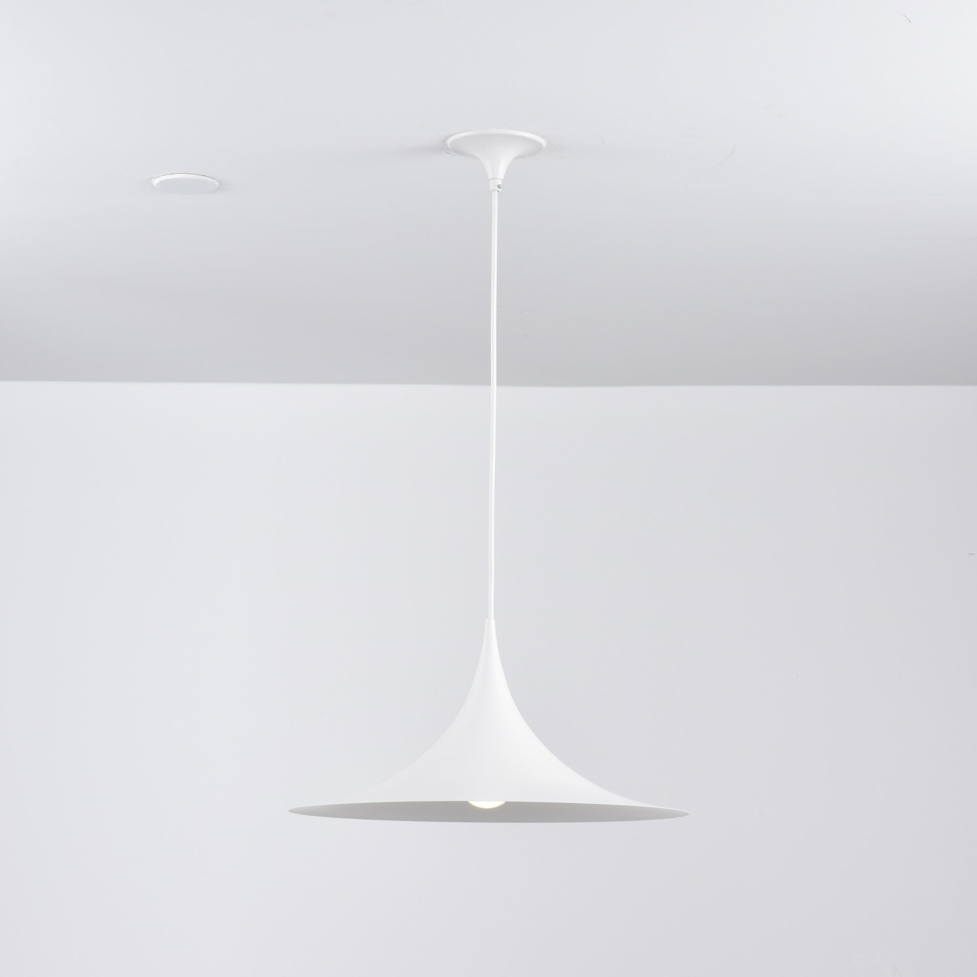 Bogenförmige Aluminium-Plug-in-Hängeleuchte