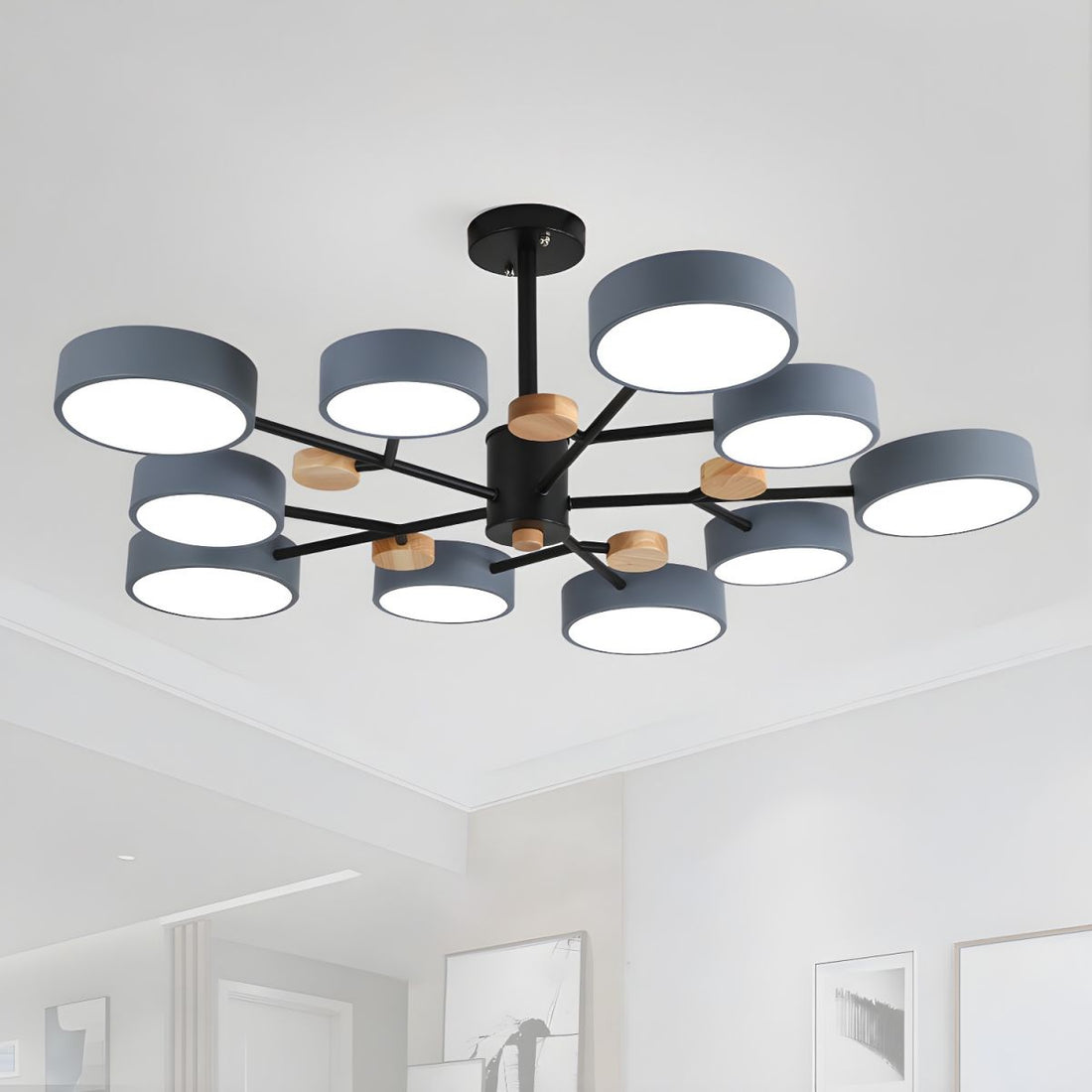 Modern Acrylic Chandelier - Multiple Lamp Heads Lamp for Living Room