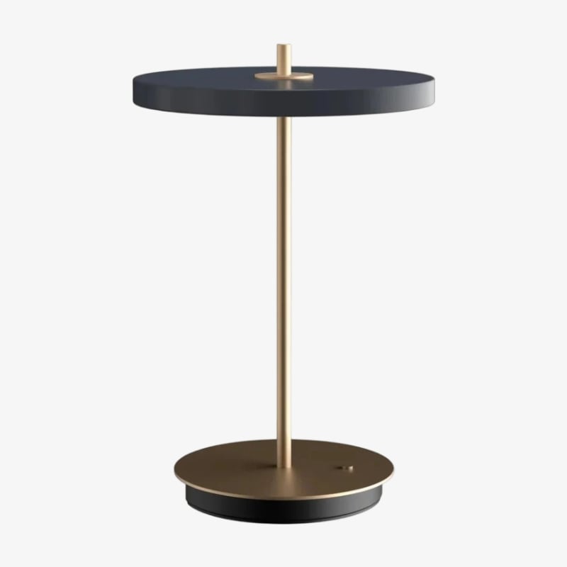 Astris Modern Minimalist Metal Table Lamp Soft LED Illumination for Living Room and Office