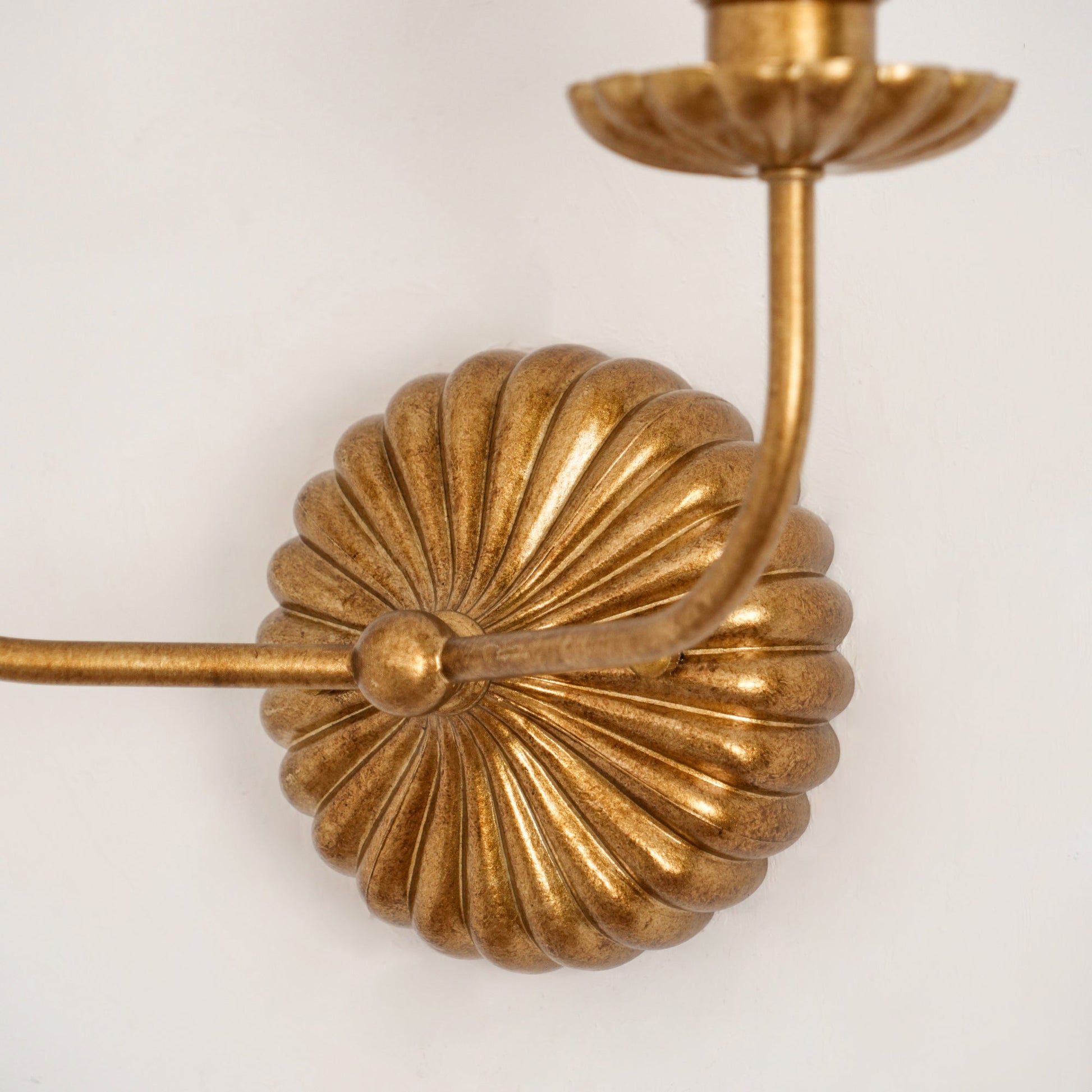 Catina Clove Wall Sconce Double