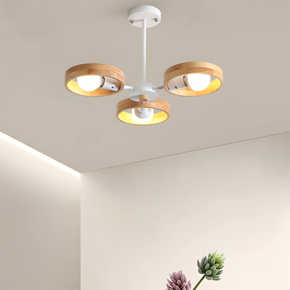 Eco-Friendly Ceiling Light - Modern Living Room Lamp Adjustable