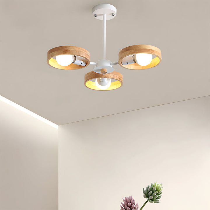 Eco-Friendly Ceiling Light - Modern Living Room Lamp Adjustable