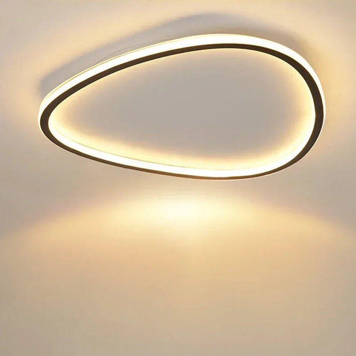 Nordic LED Ceiling Light - Black Oval Design Lamp for Modern Bedroom