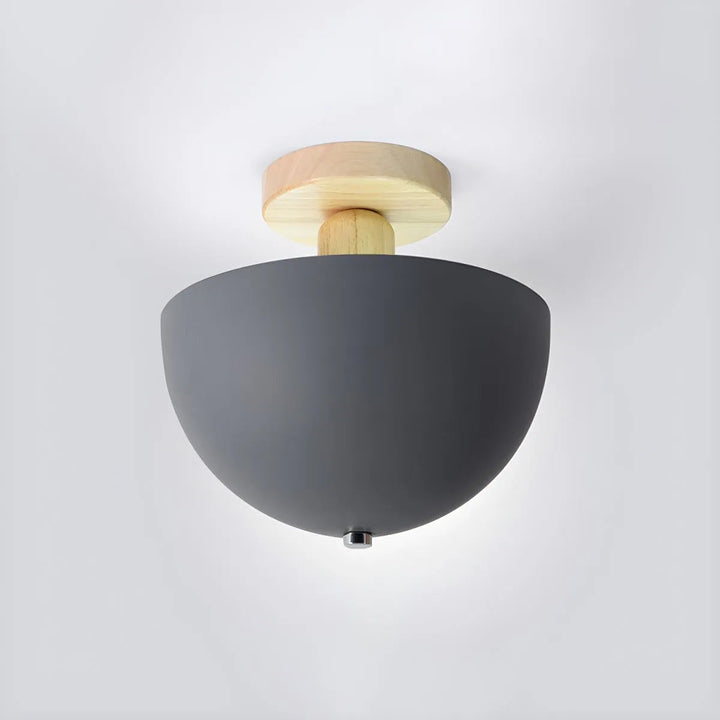 Modern Iron Ceiling Light - Round Fixture for Hallway