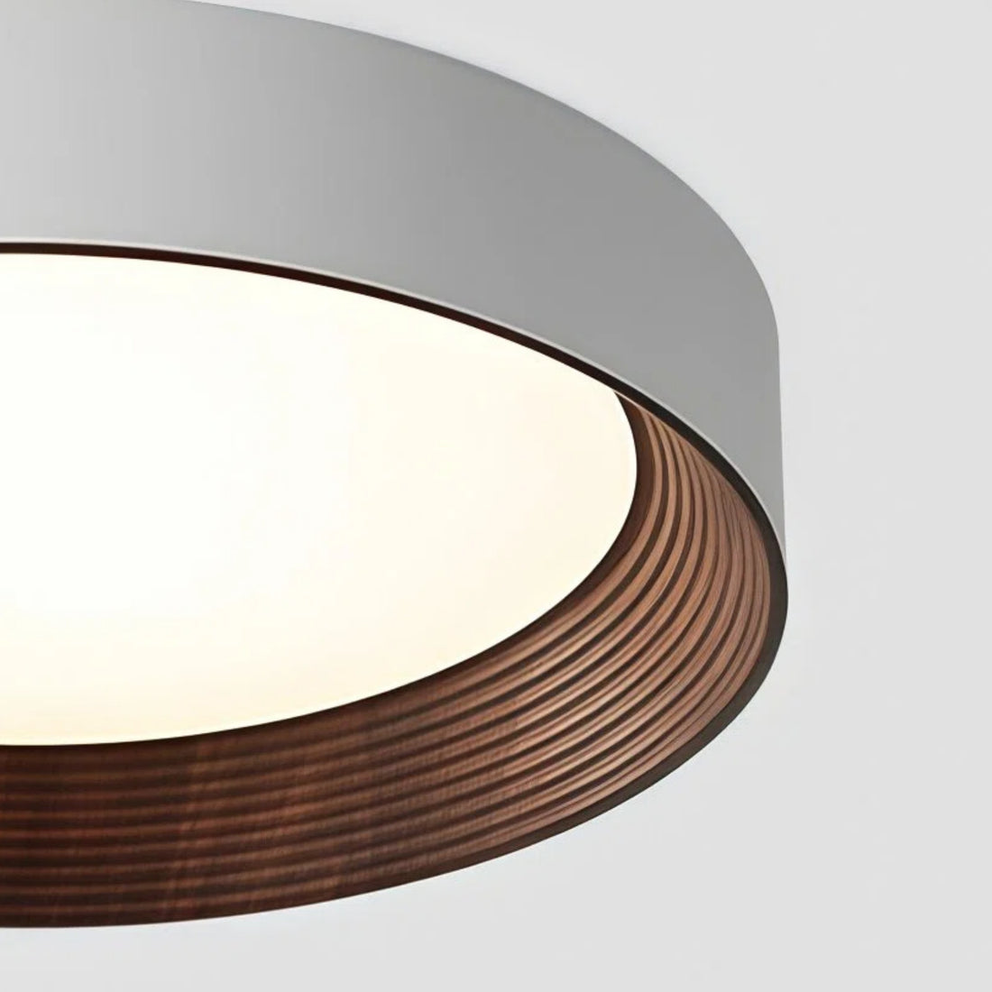 Crelina Contemporary Ceiling Light - Indoor Flush Fixture for Hallway and Dining Area U16