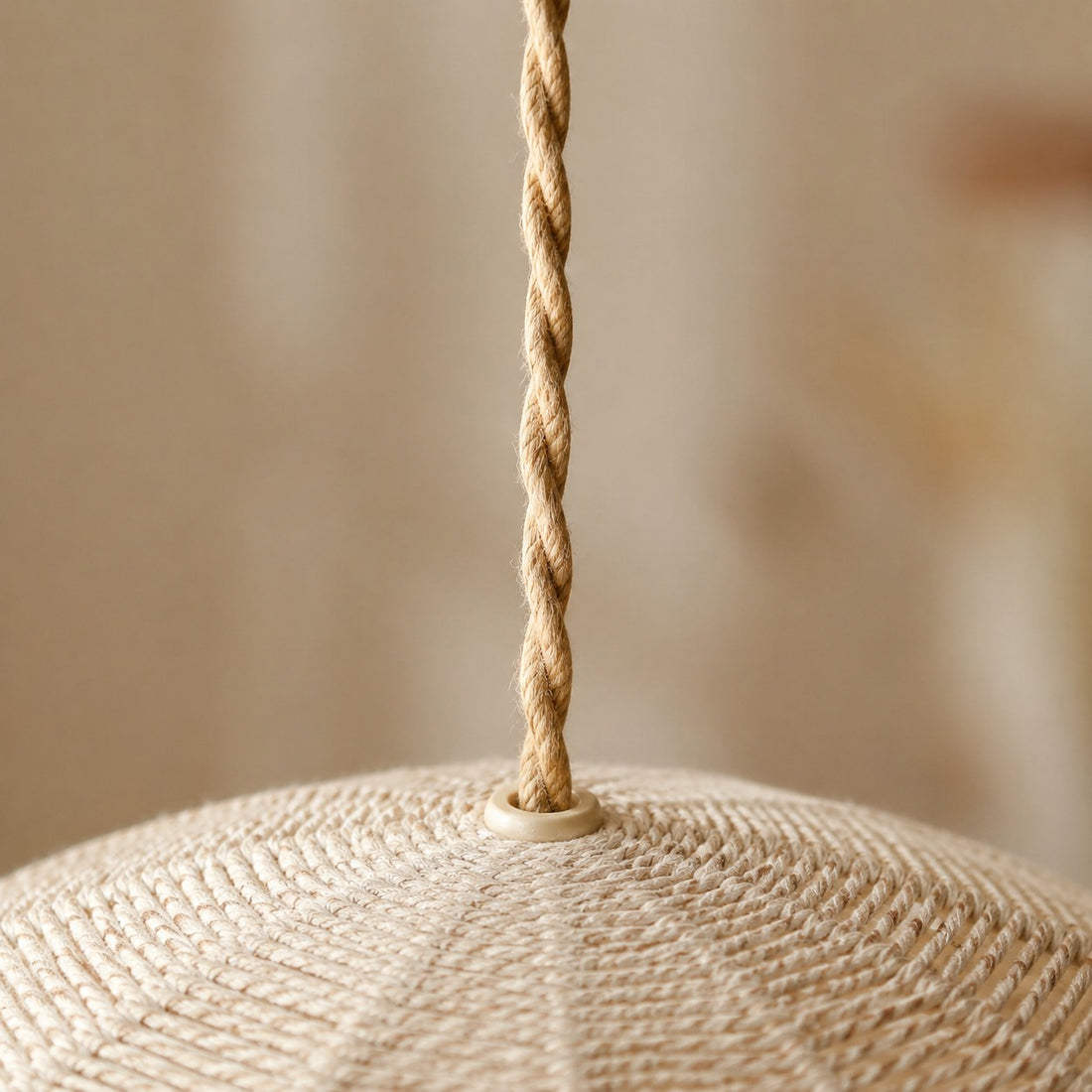 Handwoven Globe Pendant Light with Wood Canopy