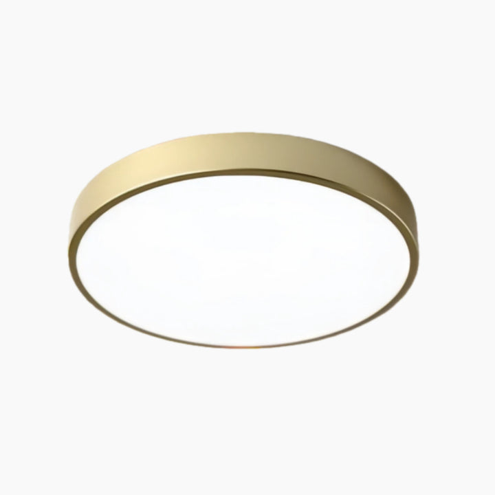 Rondi Minimalist Round LED Ceiling Light - Circular Iron Design for Living Room and Bedroom