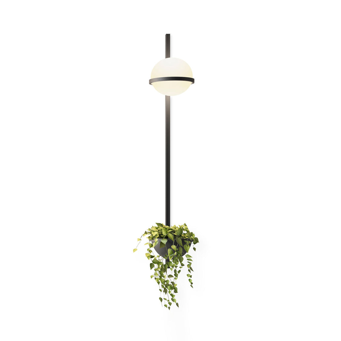 Modern Metal Wall Light - Black Frame Glowing Sphere Lamp for Garden