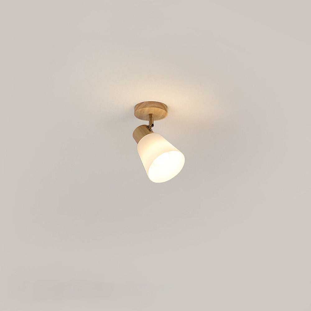 Wood Track Lighting - Modern Rotatable Minimalist Hallway Light