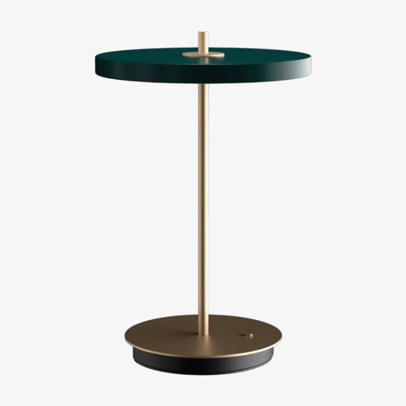 Astris Modern Minimalist Metal Table Lamp Soft LED Illumination for Living Room and Office