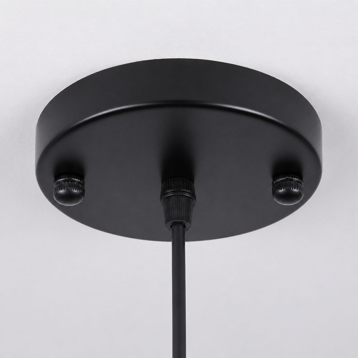 Leviaxa Outdoor Metal Pendant and Ceiling Light