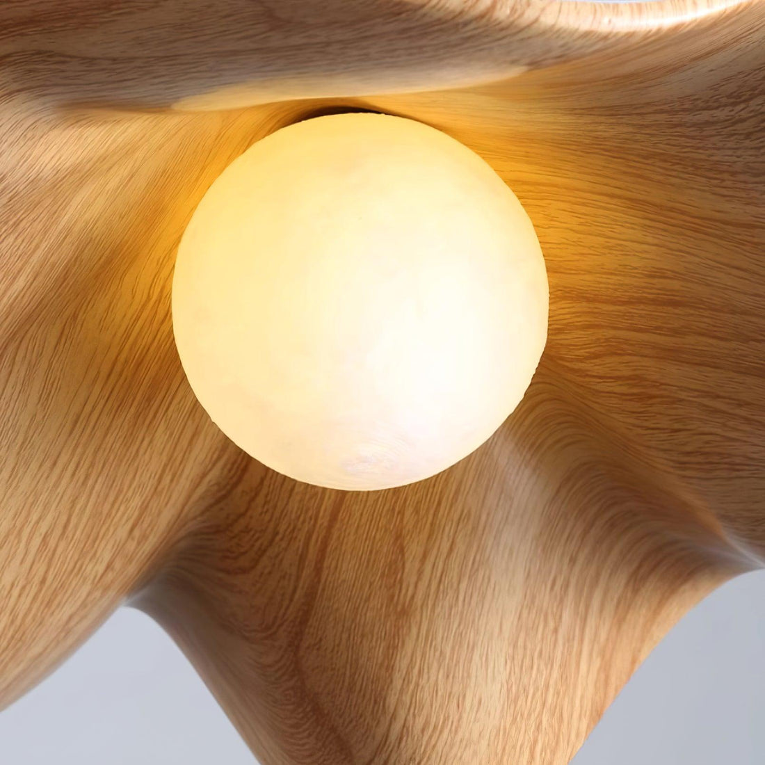 Leaf Vein Glass Plug-In Pendant Lamp