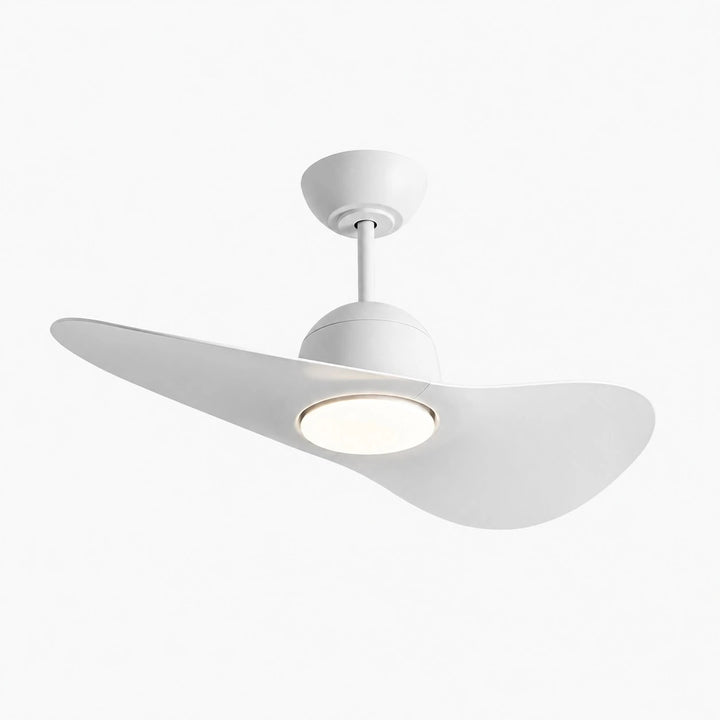 Designer Hat Two-Blade Ceiling Fan Light