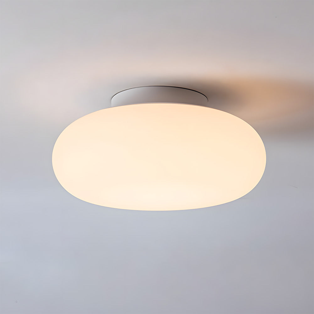 Modern Iron Ceiling Light - Round lampshade Fixture for Bedroom