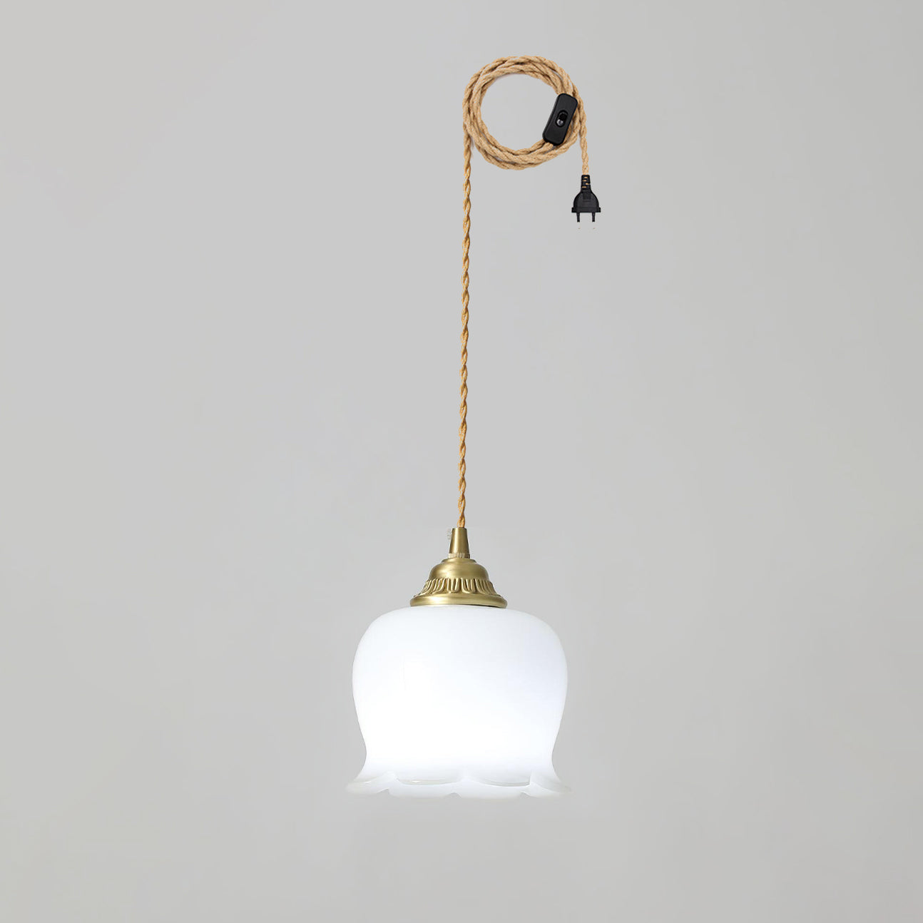 Brass Resin Petal Plug-In Pendant