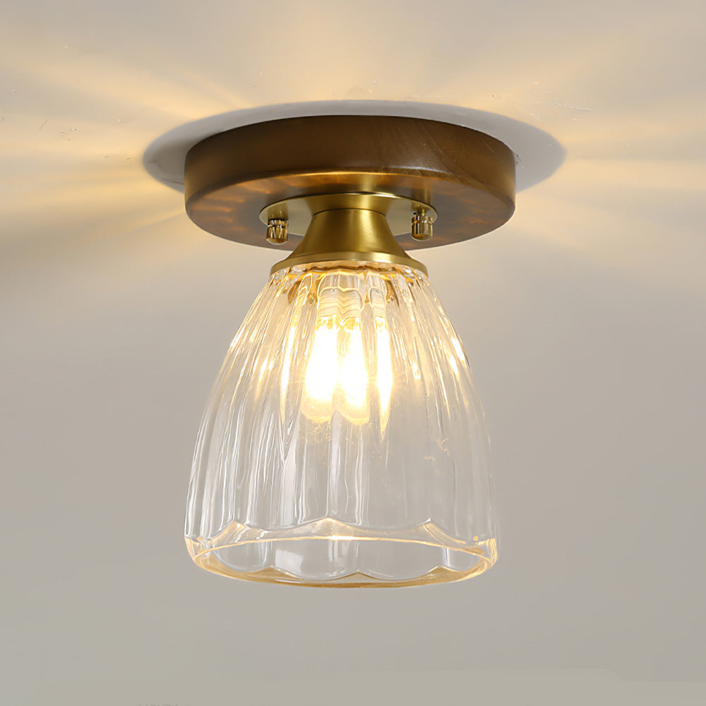 Contemporary Glass Ceiling Light - Modern Living Room Fixture