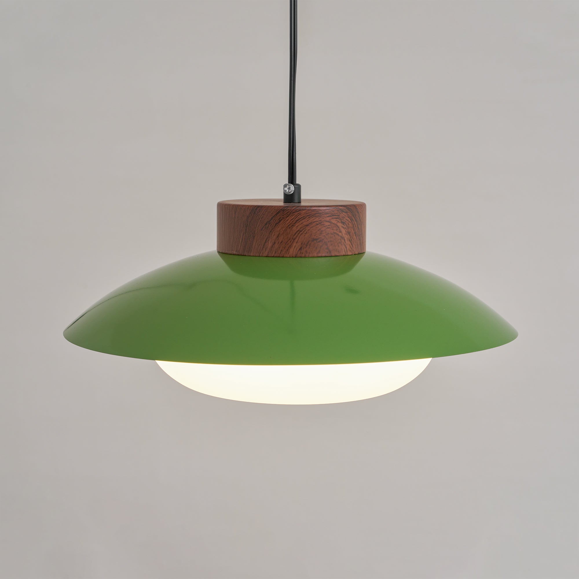Saucer Plastic Plug-In Pendant Lamp