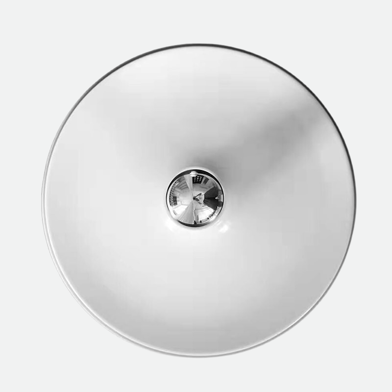 Space Age Disc Ceiling and Wall Lamp