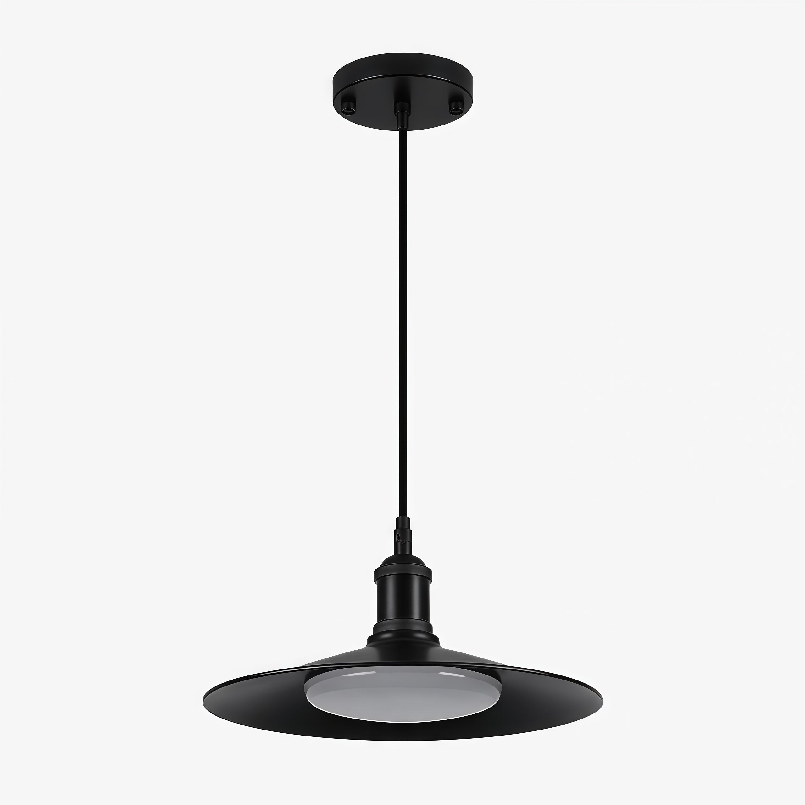 Leviaxa Outdoor Metal Pendant and Ceiling Light