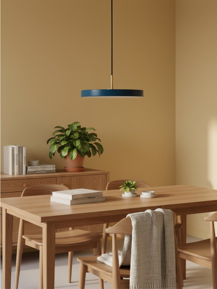 Asteria Minimalist Metal and Acrylic LED Pendant Light