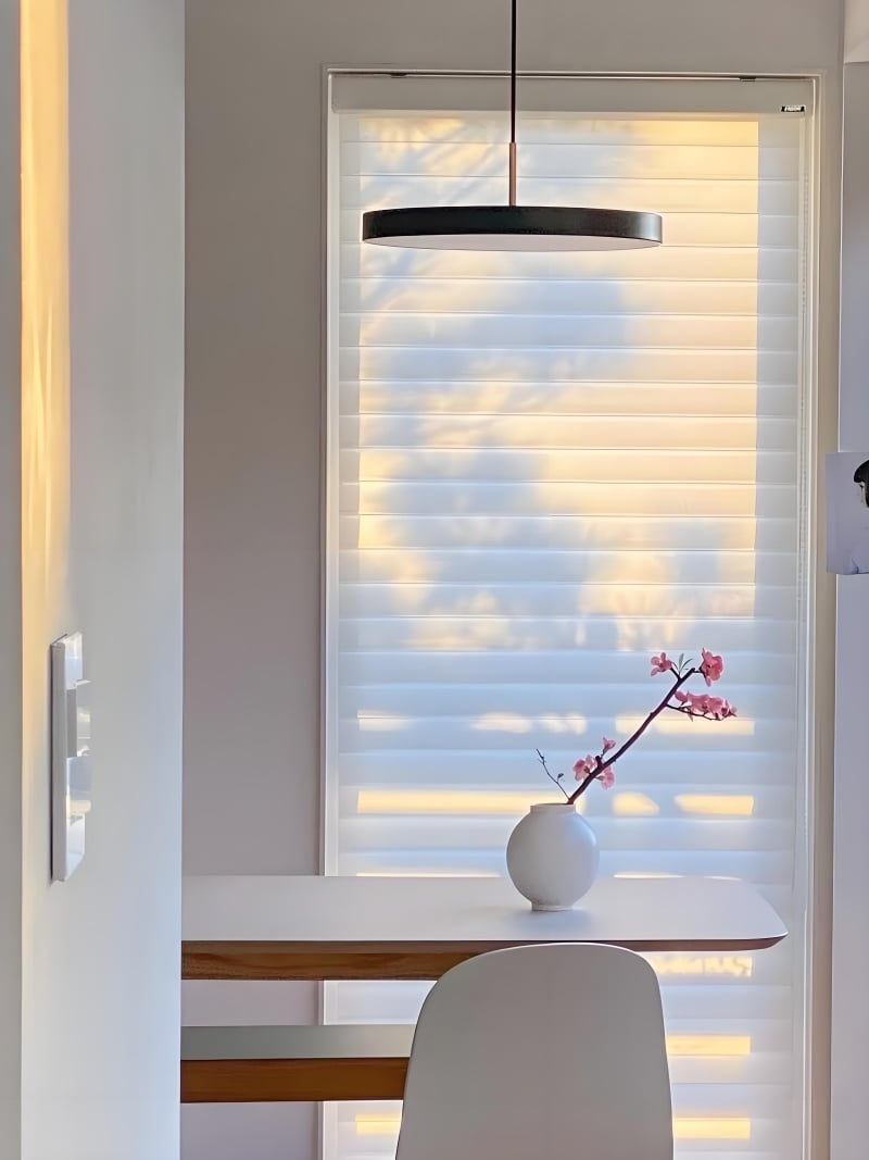 Asteria Minimalist Metal and Acrylic LED Pendant Light