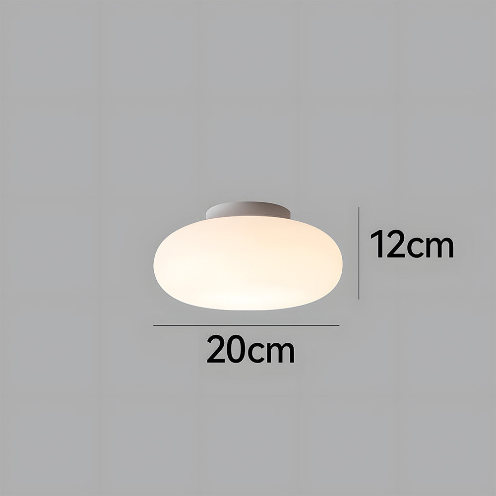 Modern Iron Ceiling Light - Round lampshade Fixture for Bedroom