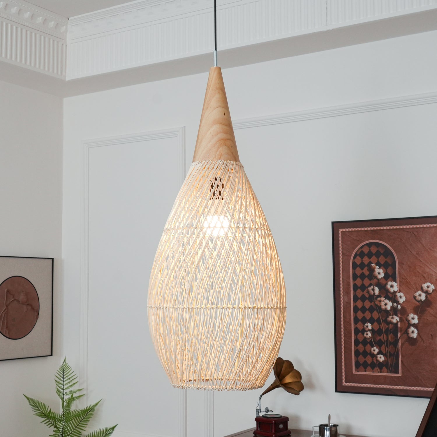Woven Rattan Wood Plug-In Pendant Light